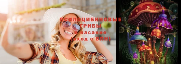 хмурый Алексеевка
