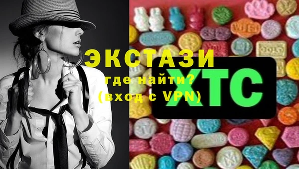 гидра Абаза
