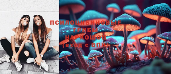 гидра Абаза