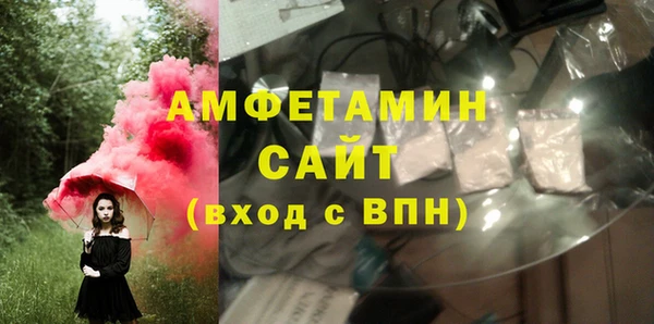 гидра Абаза